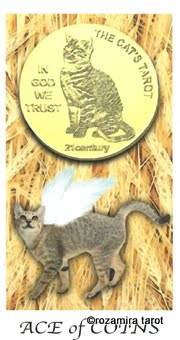 Cat's House Tarot by Hiroko Miyamoto